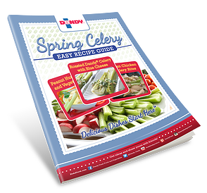 Spring Celery Guide